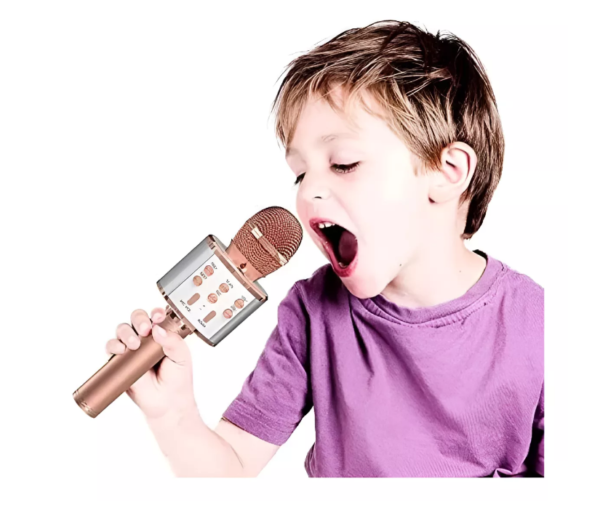 Micrófono Inalámbrico Karaoke Ws-858 Bluetooth - Image 12