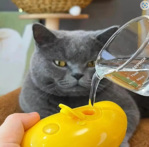 3 En 1 Cepillo De Vapor Para Perro, Masaje Peine Para Gatos - Image 3