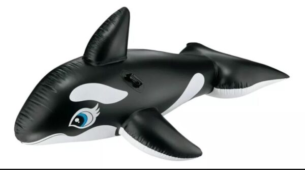 Flotador Inflable Orca Intex 193x119 Cm - Image 4