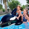 🐳 Orca Inflable Gigante 2.03m – ¡Diversión A Lo Grande Con Bestway! - Image 4
