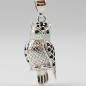 🦉✨ Dije Búho De Plata 925 Cajuluxe ✨