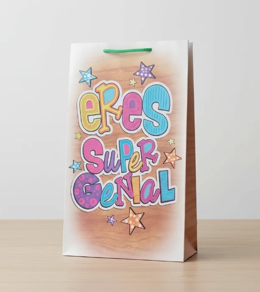 🎁✨ Bolsitas Decoradas Para Regalo Pack x6 Surtidas 🛍️💝 - Image 2